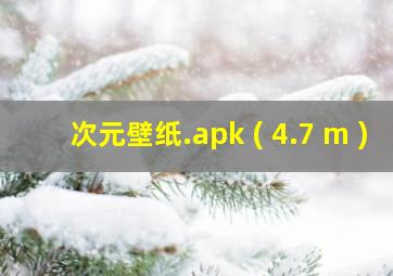 次元壁纸.apk ( 4.7 m )